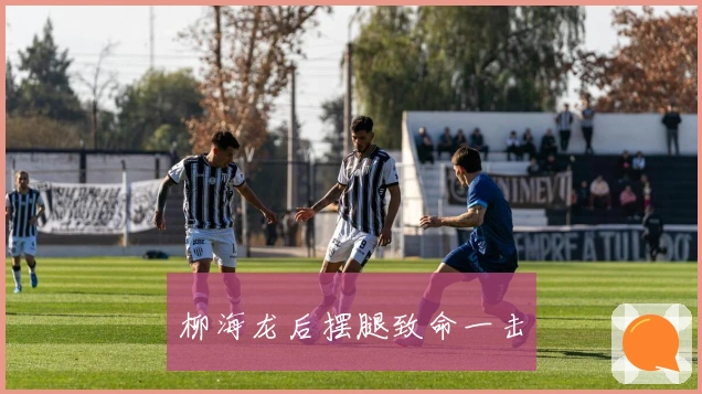 柳海龙后摆腿致命一击