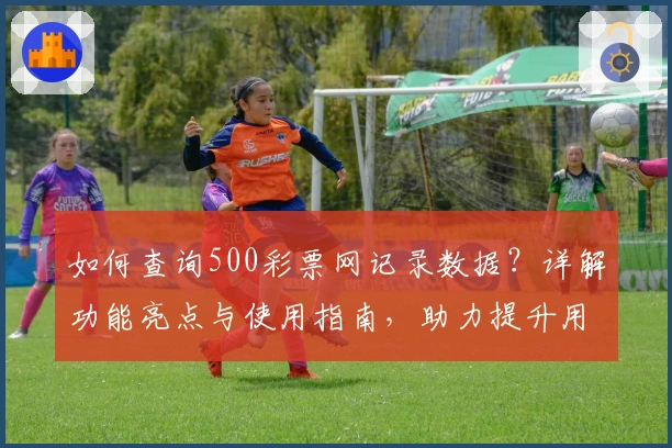 如何查询500彩票网记录数据？详解功能亮点与使用指南，助力提升用户体验