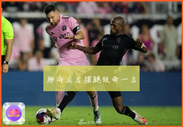 柳海龙后摆腿致命一击